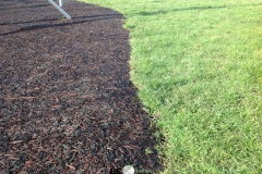 Ecosurface-428