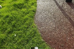 Ecosurface-520
