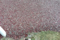 Ecosurface-562
