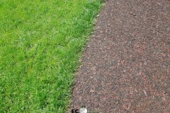 Ecosurface-639
