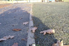 Ecosurface-739