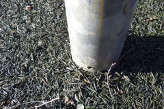 Ecosurface-742